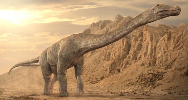 Reconstruyen armadura de último dinosaurio gigante con fósiles hallados
