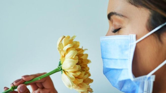 5 mitos sobre la alergia a polen