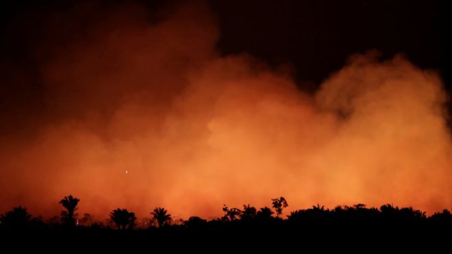 Cómo la Amazonía se volvió más inflamable pese a ser un lugar húmedo