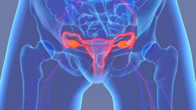 Cómo el útero descarta a los espermatozoides más débiles