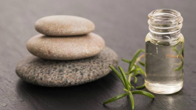 ¿Sirve en verdad el romero para la memoria?