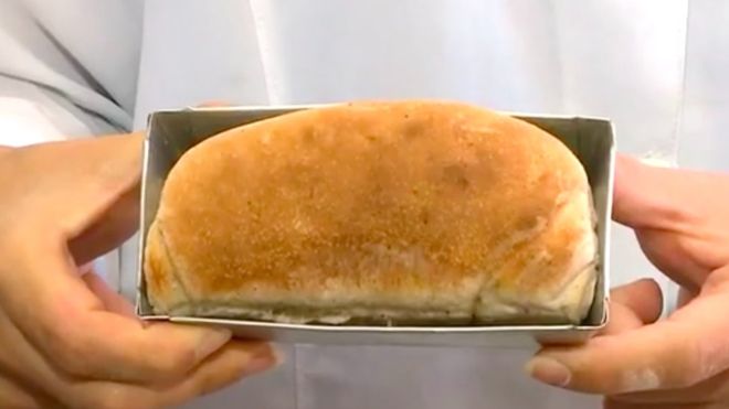 Pan hecho con cucarachas tiene más proteína que la carne