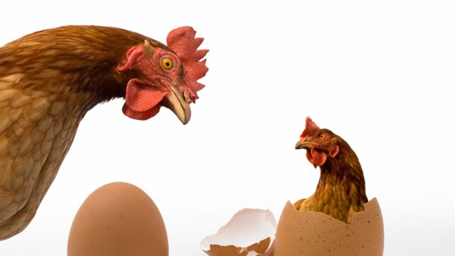 ¿Qué vino primero, el huevo o la gallina?