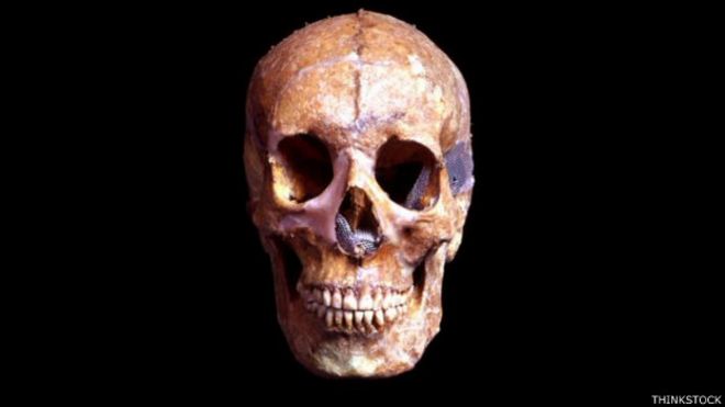 ¿Qué le pasa exactamente a nuestro cuerpo cuando nos morimos?