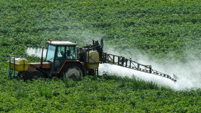 Qué es el glifosato por el cual Monsanto fue demandada