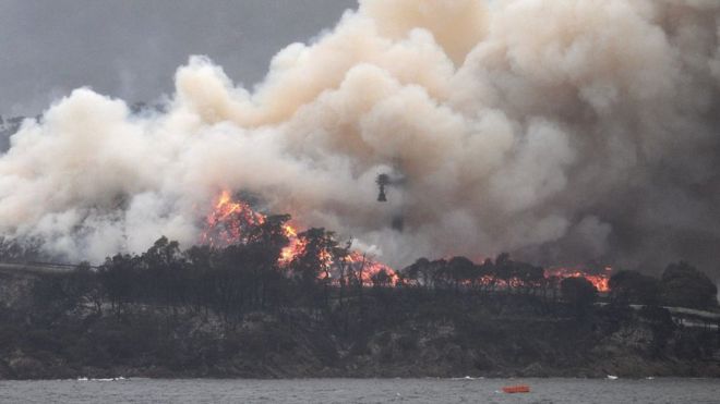 Incendios en Australia: por qué son tan feroces