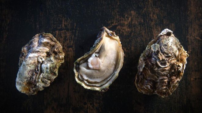 ¿Realmente existen comidas afrodisíacas?