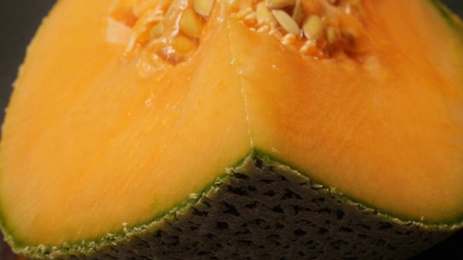 Qué es la listeria, la bacteria que ha matado a 3 personas en Australia después de comer melón y cómo prevenirla