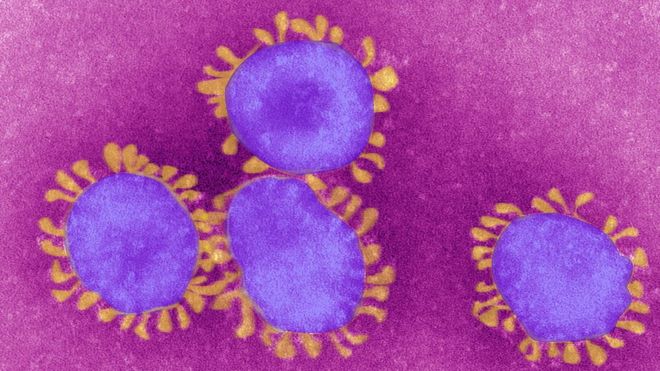 Qué es un virus endémico, en lo que se podría convertir el que causa la covid-19