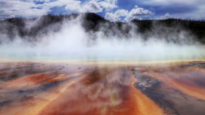 ¿Cuál es la temperatura más alta a la que puede sobrevivir un ser vivo?
