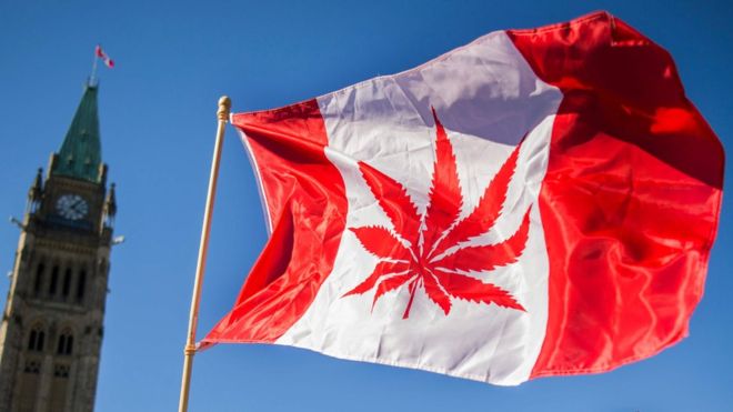 Cannabis legal en Canadá: colas y escasez en primeros días de venta