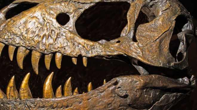 ¿De dónde vienen realmente los dinosaurios? El inesperado origen de estas criaturas