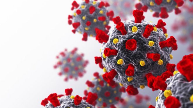 El punto débil del coronavirus que encontró una científica mexicana