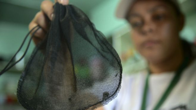 8 cosas que puedes hacer para protegerte del virus zika