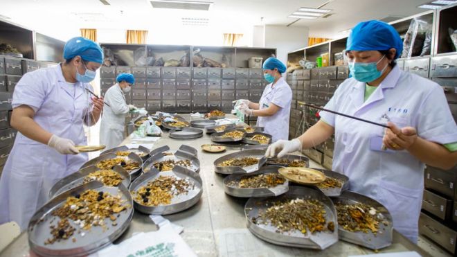 Coronavirus: China promueve el uso de su medicina tradicional