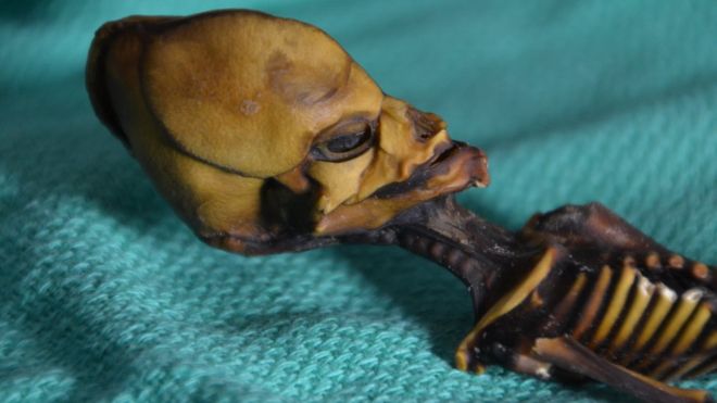 La momia hallada en Chile que algunos creían era un extraterrestre