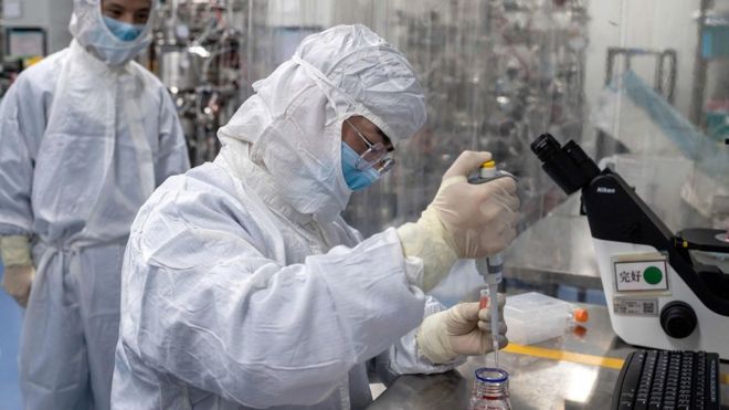 Coronavirus: ¿qué son las células T?