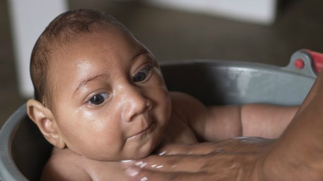 La OMS advierte que el virus zika se extenderá por toda América