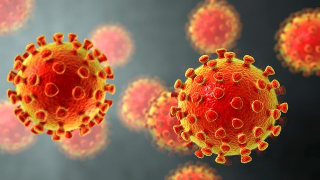 Coronavirus: qué se sabe de las mutaciones del virus del COVID-19