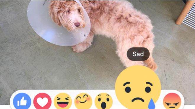"Me encanta", "Me enfada": Facebook cambia el botón de "No me gusta" por 6 emojis
