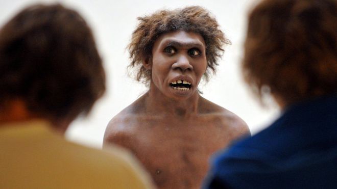 Lo que realmente terminó con los neandertales