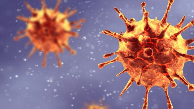 Un antiviral oral detiene el coronavirus en células humanas