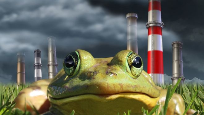 El &quot;efecto de la rana hervida&quot; que hace perder interés por el cambio climático