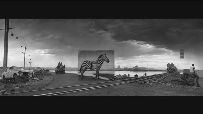 El fotógrafo que retrata "animales fantasma"