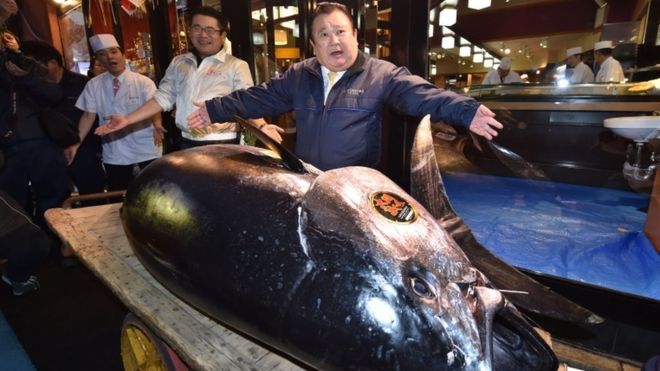 Hombre paga 3 millones de dólares por atún gigante