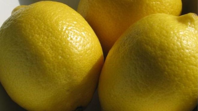Por qué EE.UU. no quiso comprarle limones a Argentina por 16 años y ahora sí lo hará