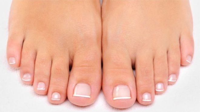 El dedo gordo del pie fue el último en evolucionar