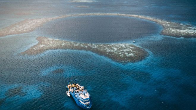 Los fascinantes hallazgos en el Gran Agujero Azul de Belice