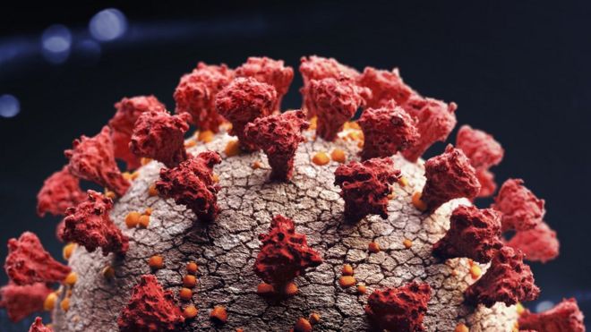 Coronavirus: los virus mortales que desaparecieron sin dejar rastro