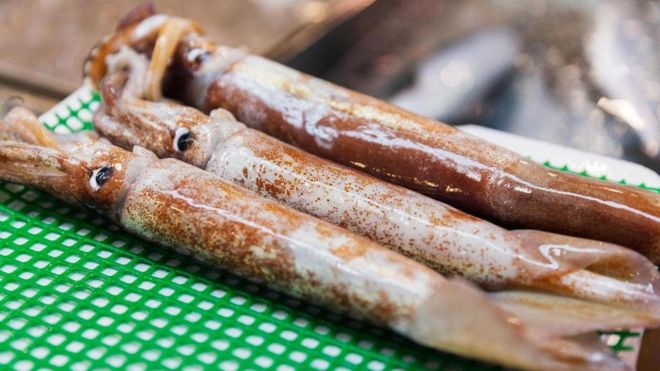 El curioso caso del &quot;calamar zombie&quot; y otros platos con peces vivos