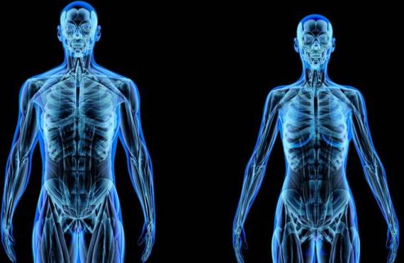 Nuestro cuerpo está fundamentalmente formado por átomos.