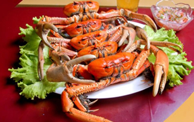 Veda del cangrejo rojo termina este domingo