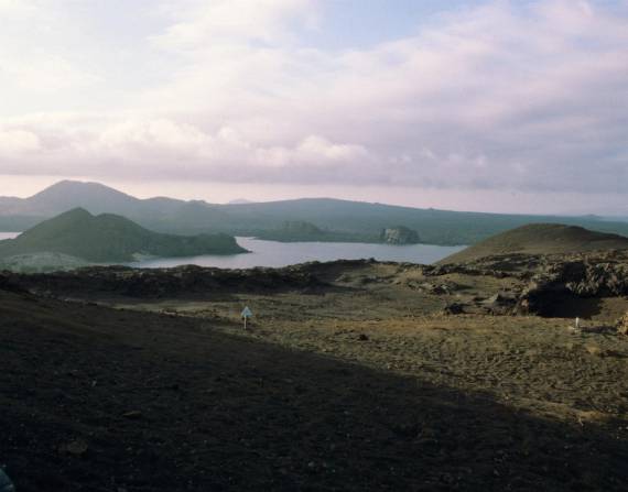 Las Islas Galápagos se ubican en el Océano Pacífico, a 1 000 km al oeste del continente americano.