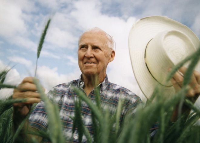 Borlaug, el hombre que salvó a millones de la hambruna