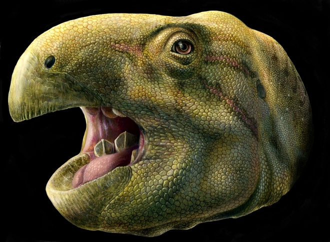 Descubren un dinosaurio con dientes que cortaban como tijeras