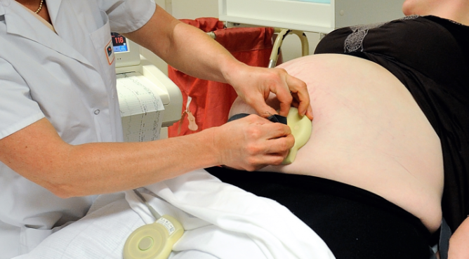 Mujer de 40 años, embarazada de 13 bebés