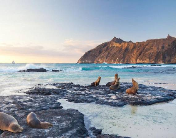 Situadas unos mil kilómetros al oeste de las costas continentales, las Galápagos son uno de los ecosistemas más biodiversos del mundo
