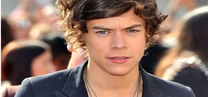 Fan golpea a un integrante de &#039;One Direction&#039; en partes íntimas