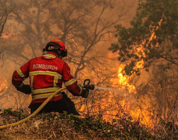 Alerta en Portugal por los fuertes incendios