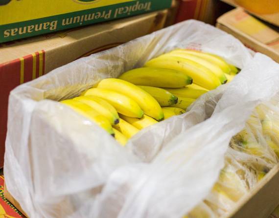 El banano es el principal producto de exportación a Rusia y Ucrania, según datos del Banco Central. Foto: Archivo/Referencial