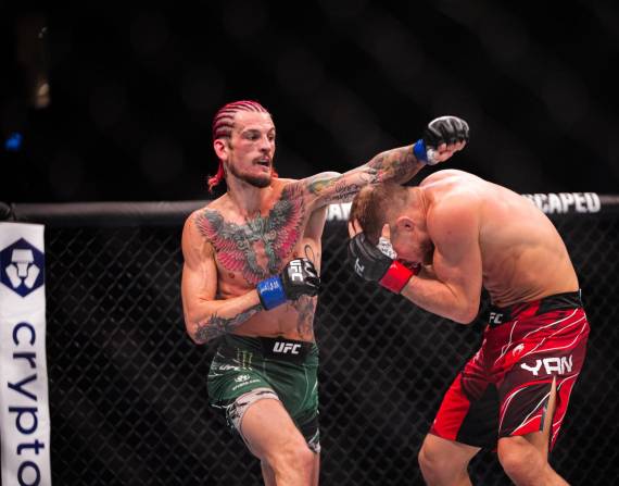 Sean O'Malley golpeando a Petr Yan.
