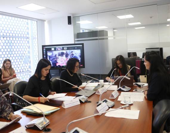 La Comisión por la Verdad y Justicia del caso María Belén Bernal es presidida por la legisladora Ana Herrera.