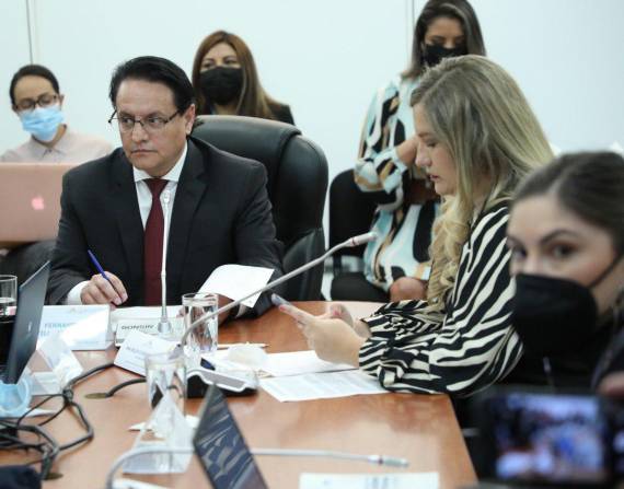 La investigación fue liderada por la parlamentaria Ana Belén Cordero.