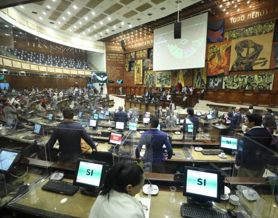 El pleno aprobó el informe presentado por la Comisión de Garantías Constitucionales con 99 votos a favor, 16 en contra y 10 abstenciones. Asamblea Nacional