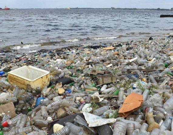 Los residuos plásticos que se ha encontrado han tenido marcas extranjeras.