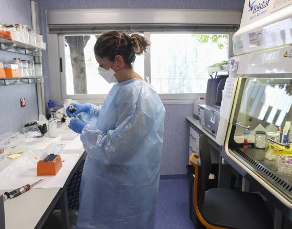 Una científica de España realiza la secuencia del virus causante de la viruela del mono (foto referencial).